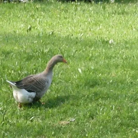 Escapade Romantique: Avec Terrasse Panoramique, Poele A Bois Et Eclairage Multicolore - Fr-1-589-441 Ferienhaus *
