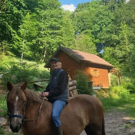 Vakantiehuis Escapade Romantique: Avec Terrasse Panoramique, Poele A Bois Et Eclairage Multicolore - Fr-1-589-441 Ferdrupt