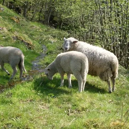 Ferienhaus Escapade Romantique: Avec Terrasse Panoramique, Poele A Bois Et Eclairage Multicolore - Fr-1-589-441