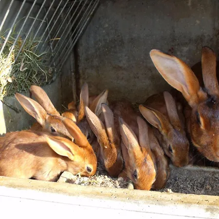 Escapade Romantique: Avec Terrasse Panoramique, Poele A Bois Et Eclairage Multicolore - Fr-1-589-441 * Ferdrupt