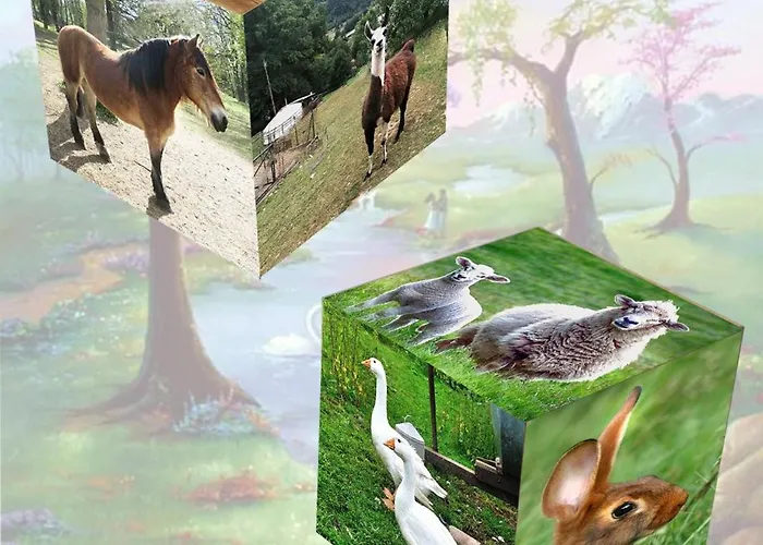 度假居 Escapade Romantique: Avec Terrasse Panoramique, Poele A Bois Et Eclairage Multicolore - Fr-1-589-441 *