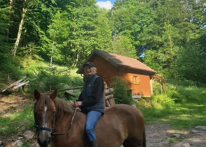 度假居 Escapade Romantique: Avec Terrasse Panoramique, Poele A Bois Et Eclairage Multicolore - Fr-1-589-441 Ferdrupt