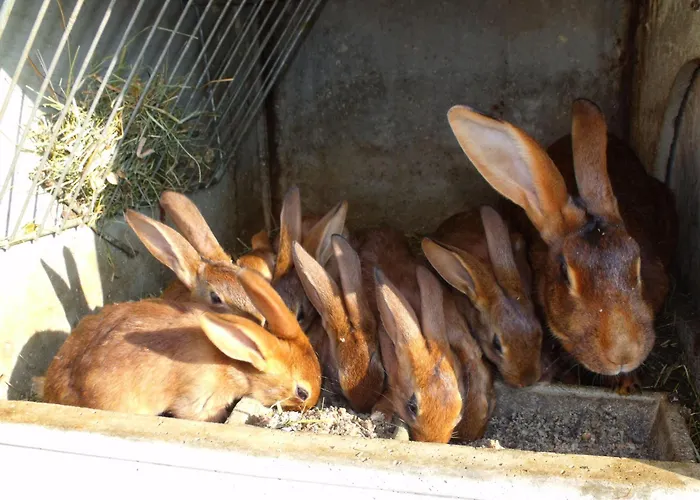 Escapade Romantique: Avec Terrasse Panoramique, Poele A Bois Et Eclairage Multicolore - Fr-1-589-441 * Ferdrupt